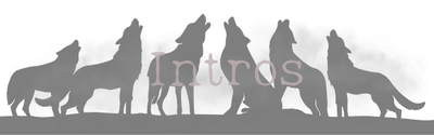 Intros